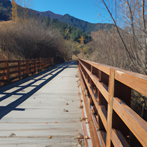 새로운 친구 사귀는 방법 이렇게 시도하자